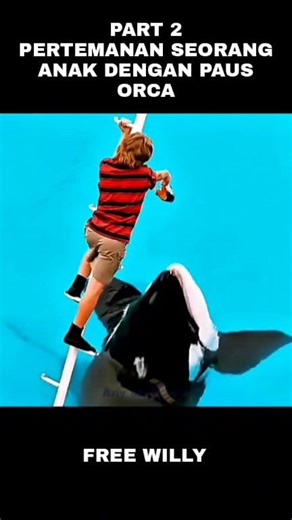 2.4K views | PART 2 pertamanan seorang anak kecil dengan paus orca‼️ Judul film : FREE WILLY  Alur cerita film / review film keren klik ikuti untuk video terbaru lainya #fyp #reels #cuplikan #alurceritafilm #spoilerfilm #movie #film #alurfilm #ceritafilm #reviewfim #fypchallenge #viralpost2025 #fypjangkauanluas #fypfbpro #fypシ゚viralシfypシ゚viralシalシ #viralreelsシreels #fypviralシ #fypageシ | Ariy Ahoncx | Facebook
