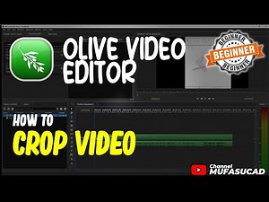 Olive Video Editor How To Crop