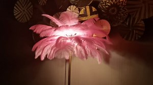Feather Floor lamp,Ostrich Feather lamp for Daughter's Room can be DIY Applicable to Living Room and Bedroom (White)