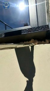 3.1K views | Installation of a window tint on mounting foam #trending #tips #tipsandtricks #ideas #DIY #reels | Welder Man | Facebook