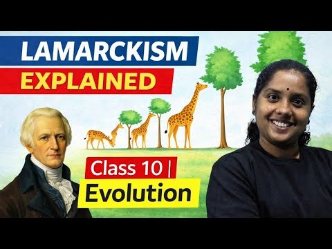 🦒 ജിറാഫിന്റെ കഴുത്ത് നീളം കൂടിയത് എങ്ങനെ? 🤔👉 Lamarckism Explained in Malayalam