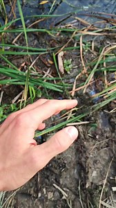 38K views · 176 reactions | Fishing water tap aerator fishing gear and tools #fishing #fishinggear #fishingaccessories #fishingtime #fishingvideos #fishinglife #fishingtackle #fishing #fishingtipshingtips #fishingaccessories | Thewishingrod.com | Facebook