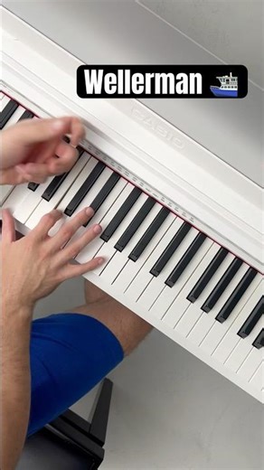 POV:You can play your favourite party song😅🙏🏻‪@casioczech269‬ #wellerman #pianocover