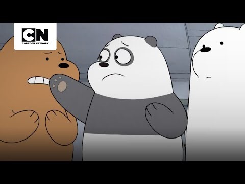 OS URSOS NÃO CONHECEM A CALMA | URSOS SEM CURSO | CARTOON NETWORK