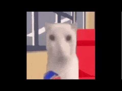 drawing in Roblox spray paint! 🎨 (with Leo)