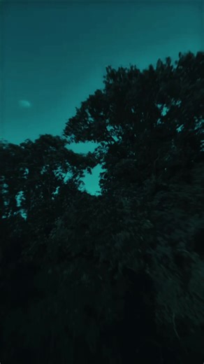 Promises - A Catchy Hit by Calvin Harris and Sam Smith