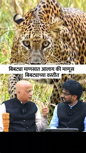 बिबट्या माणसात आलाय की माणूस बिबट्याच्या वस्तीत #leopard #leopardrescue #village #maharashtra #trend