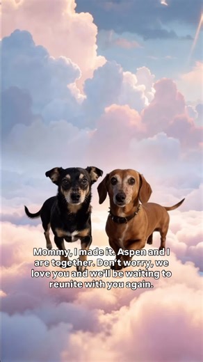 A Heartfelt Tribute to Phoenix and Aspen