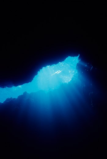 4 Black Eggs Surfaced From the Dark Heart of the Ocean—With Alien Creatures Inside