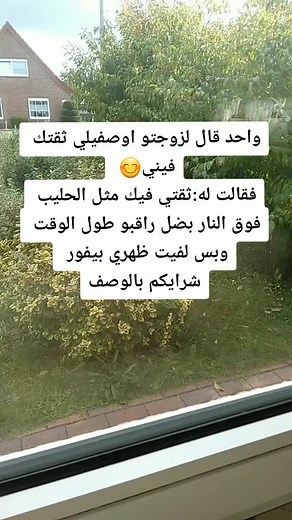 Serene Garden View from a Calm Window