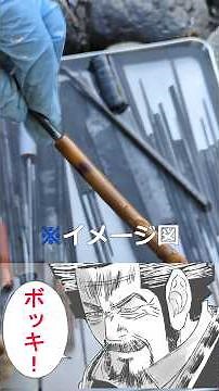 The Massive Bonus Included in the 400 Yen Toolbox I Bought