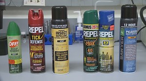 Everything you need to know about ticks and repelling them; from an expert