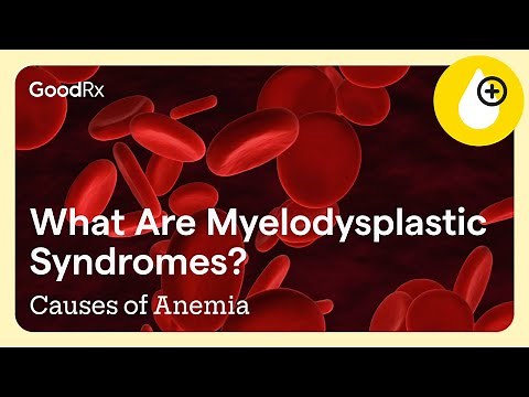 Understanding Myelodysplastic Syndromes (MDS) and Anemia | GoodRx
