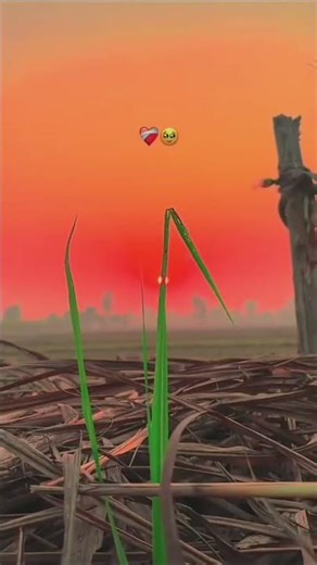 mujhe chodne kaa tujhko naa gam hai