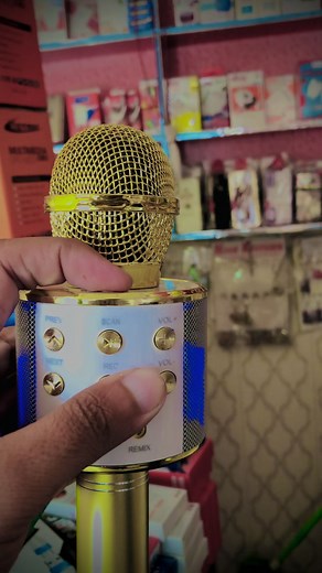 Handheld KTV WS-858 Wireless Microphone Hifi Speaker