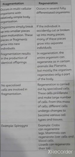 Differences between Fragmentation and Regeneration Class 10 Science
