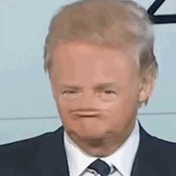Donald trump gif