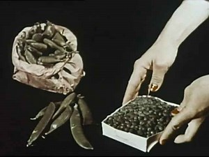 Smart Family Food Budgeting: Meal Planning & Grocery Shopping Hacks