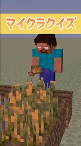 統合版？Java版？どちらでしょう？ #マイクラ #mine-imator