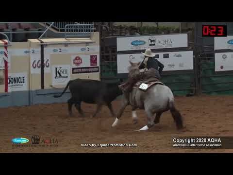 Ranch Boxing Example