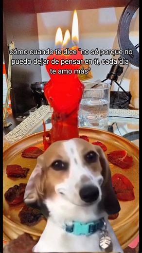 TikTok · tarot_de_azul_aoi