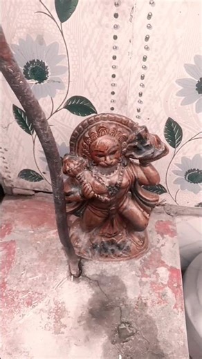 hello Mata Rani ke video samachar