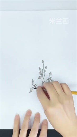 Easy Orchid Drawing Tutorial | 零基础兰花炭笔画教程 #Shorts