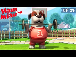Ham Miau 🐶 Super Sparky 🐱 Desene animate pentru copii | HeyKids