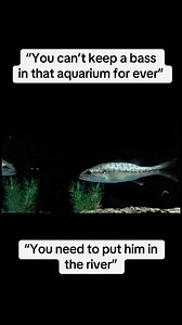 Building my bass a pond | Grant Chase