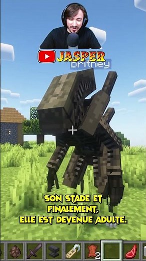 ALIEN SUR MINECRAFT !