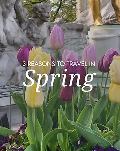 22 reactions | With autumn in sight, there is no better time to start planning those springtime adventures. Here are 3 reasons to travel in springtime and create some unforgettable memories amongst the blossoms Join us for one of our springtime discoveries and save 10% on select premium tours with our Seasonal Travel Sale: https://bit.ly/3DpOQ0D [ Travel Director Greg, Debra, John, and Tim] | Insight Vacations | Facebook