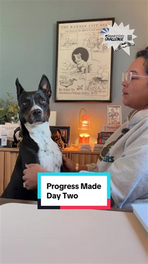 Less than 24 hours and SOOOOO much progress has been made. THIS is the good in today at @Humane Society of Greater KC !! @Greater Good Charities are you ready for day 3?! #goodexistschallenge #hsgkc #dogsoftiktok #shelterdog #progress
