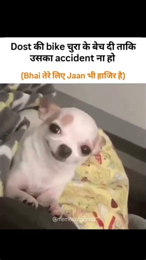 love you mittar ☺️