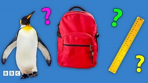 Odd One Out Quiz