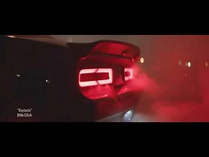 DMX feat. Lil Wayne - Dogs Out (Maga Remix)