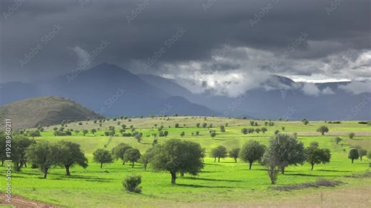 Panoramic agricultural fields and orchard trees spread across green mountain valleys Romania. Rural farms, fruit groves, and calm weather define fertile countryside beneath dramatic clouds.