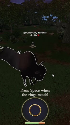 Understanding Bison Behavior: A Fascinating Insight