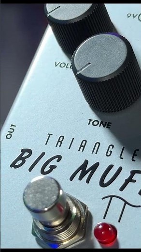 Triangle Big Muff on Bass Sounds INSANE 🤘