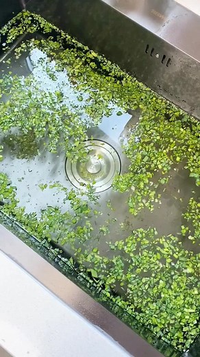 Cute kitchen sink monsters rainbow strainer. #stainer #kitchengadgets #kitchenware #amazondeals #amazonfinds #usa