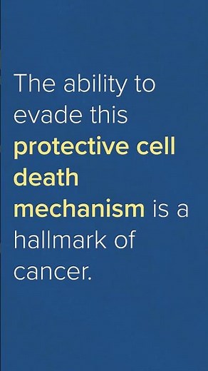 Apoptosis - A Basic Explanation