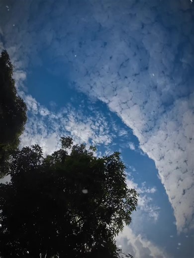 Exploring Nature's Beauty in a Melancholic Mood