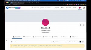 How To Find Solana Collections On Opensea (Best Potential Collections)