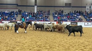 84K views · 192 shares | It’s Finals night of the National Reined Cow Horse Association World’s Greatest Horseman and Gusti Buerger leads the way after the first event scoring a 221 in the Herd-Work aboard Magicality. Go to www.CHClivescoring.com or www.NRCHA.com to watch the Steer Stopping, Rein-Work and thrilling Fence Work! Phenomenal horse’s with phenomenal riders! | Reined Cow Horse Training | Facebook