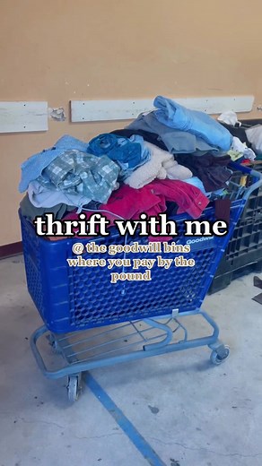 Exploring Goodwill Bins: A Thrifting Adventure