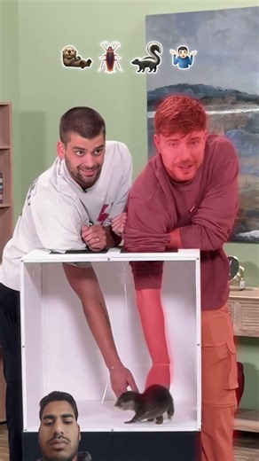 new comedy video #viral #shorts