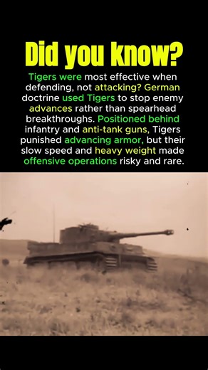 Why Tiger Tanks Worked Best on Defense #tigertank #WW2Defense #tankwarfare