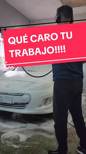 Cuidado del Auto: Limpieza Interior Completa en Argentina