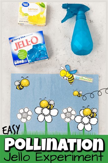  Simple Jello Bee Pollination Experiment for Kids https://www.preschoolplayandlearn.com/simple-jello-bee-pollen-experiment-for-kids/ | 123 Homeschool 4 Me | Facebook