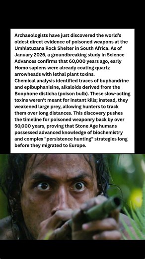 60,000 Years Old! 🏹 The World's First "Smart" Weapons Discovered #wildlife #facts #shorts