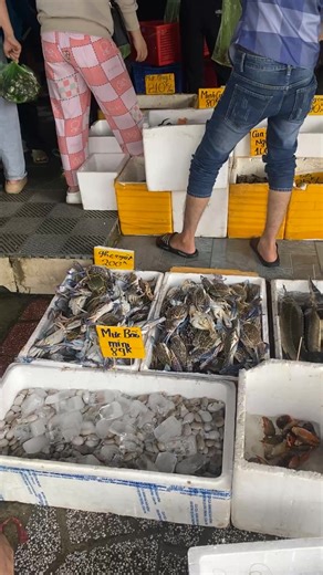 🎉🎊 SĂN SALE ĐẦU NĂM CÙNG HẢI SẢN ĐĂNG QUÂN 🎊🎉 🎁 Tôm lóng sale 99K 🎁 Cua gạch bao gạch 59k/con 🎁 Mực bầu mini chỉ 89K 🐠 Cá chim ngộp. #120k 🐠 Cá đuối ngộp. #100k 🦞 Hùm ngộp. #600k 🦀 Ghẹ 80% thịt. Sale #179k 🦑 Mực trứng. Sale #179k 🐙 Sam trứng. Sale #69k/con 🦐 Lóng mè ngộp. #70k 🐚 Hàu đại dương. #65k 🐚 Ốc nhảy #70k/kg-120k/2kg 🐚 Ốc hương. Sale #149k 🐚 Sò huyết rừng. #99k 🐚 Vọp rừng. #40k/kg-110k/3kg 🐚 Sò lông. #40k/kg-100k/3kg 👉👉 GIÁ SALE CHỈ ÁP DỤNG TRÊN LIVE 👈👈 👉👉 Cảm ơ